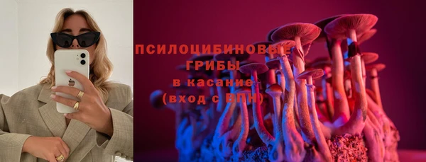 мяу мяу мука Вязники