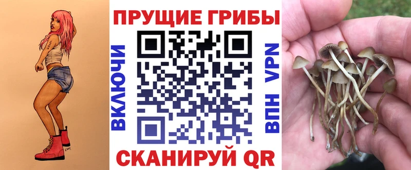 Галлюциногенные грибы ЛСД  Купить где  Называевск 